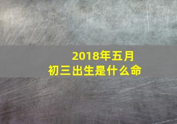 2018年五月初三出生是什么命