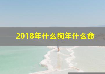 2018年什么狗年什么命