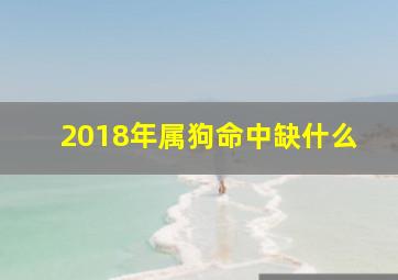 2018年属狗命中缺什么