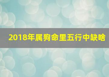 2018年属狗命里五行中缺啥