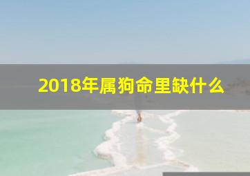 2018年属狗命里缺什么