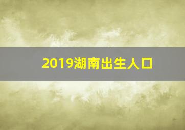 2019湖南出生人口