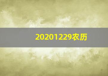 20201229农历