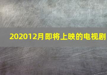 202012月即将上映的电视剧