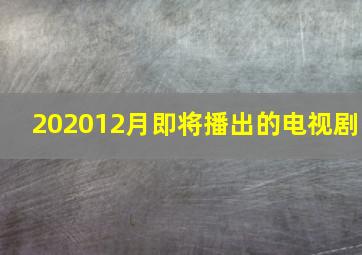 202012月即将播出的电视剧