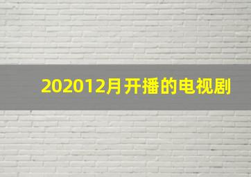 202012月开播的电视剧