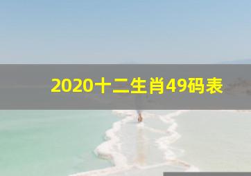 2020十二生肖49码表