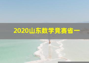 2020山东数学竞赛省一