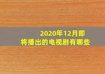 2020年12月即将播出的电视剧有哪些