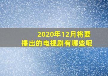 2020年12月将要播出的电视剧有哪些呢