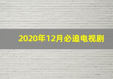 2020年12月必追电视剧