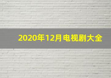 2020年12月电视剧大全