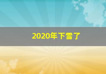 2020年下雪了