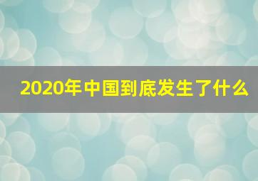 2020年中国到底发生了什么