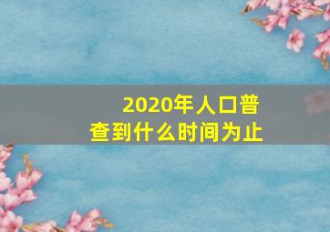 2020年人口普查到什么时间为止