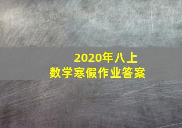 2020年八上数学寒假作业答案