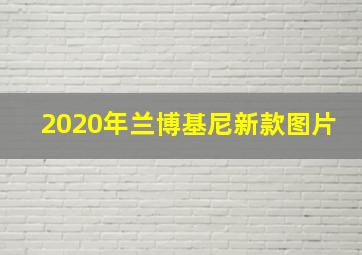 2020年兰博基尼新款图片