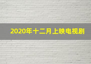 2020年十二月上映电视剧