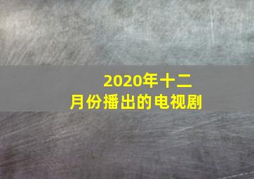 2020年十二月份播出的电视剧