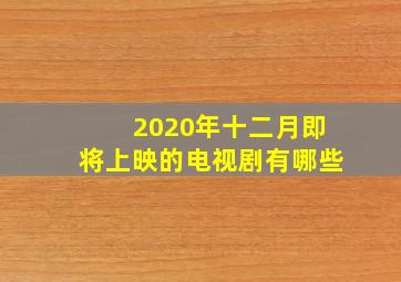 2020年十二月即将上映的电视剧有哪些