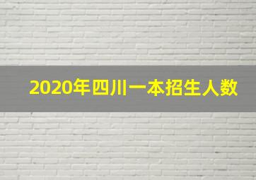 2020年四川一本招生人数