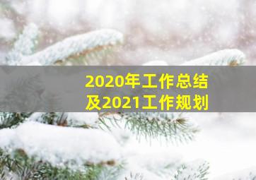 2020年工作总结及2021工作规划