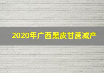 2020年广西黑皮甘蔗减产