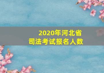 2020年河北省司法考试报名人数