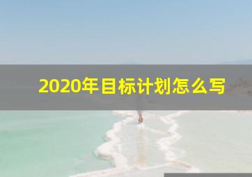 2020年目标计划怎么写