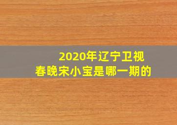 2020年辽宁卫视春晚宋小宝是哪一期的