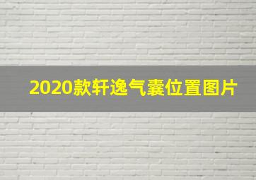 2020款轩逸气囊位置图片