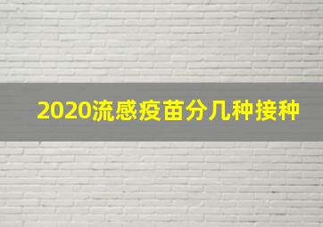 2020流感疫苗分几种接种