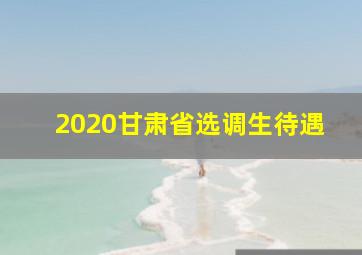 2020甘肃省选调生待遇