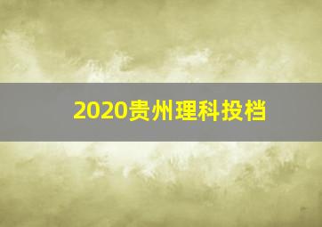 2020贵州理科投档