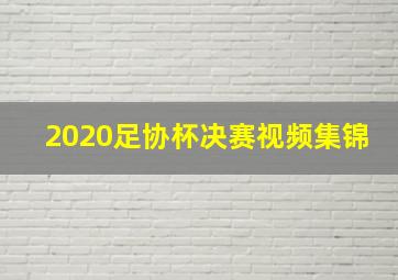 2020足协杯决赛视频集锦