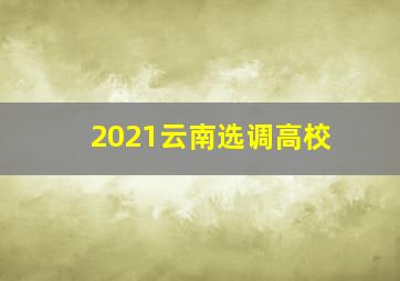 2021云南选调高校