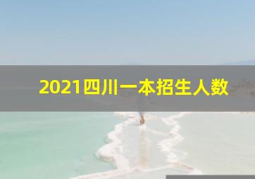 2021四川一本招生人数