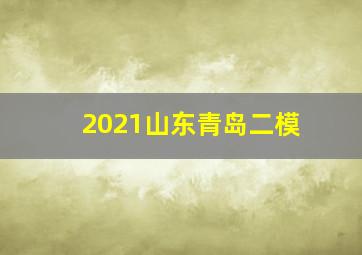 2021山东青岛二模