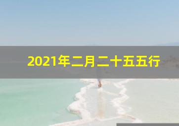 2021年二月二十五五行