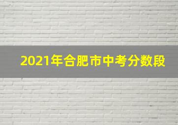 2021年合肥市中考分数段