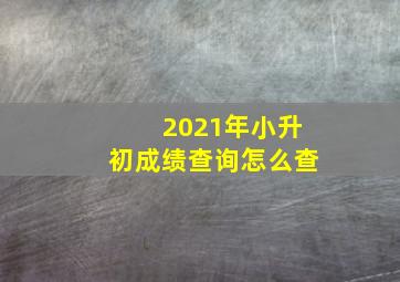 2021年小升初成绩查询怎么查