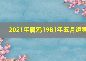 2021年属鸡1981年五月运程