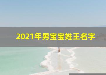 2021年男宝宝姓王名字