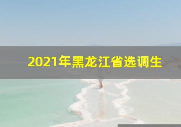 2021年黑龙江省选调生