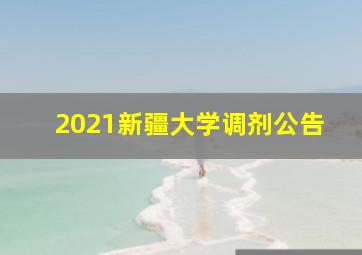 2021新疆大学调剂公告