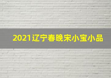 2021辽宁春晚宋小宝小品