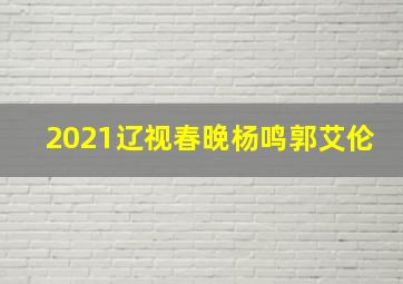 2021辽视春晚杨鸣郭艾伦