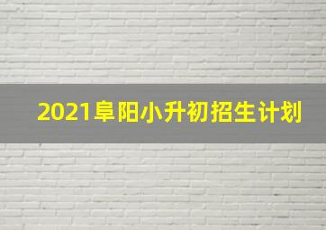 2021阜阳小升初招生计划