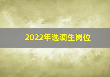 2022年选调生岗位