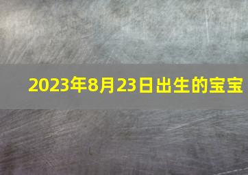 2023年8月23日出生的宝宝